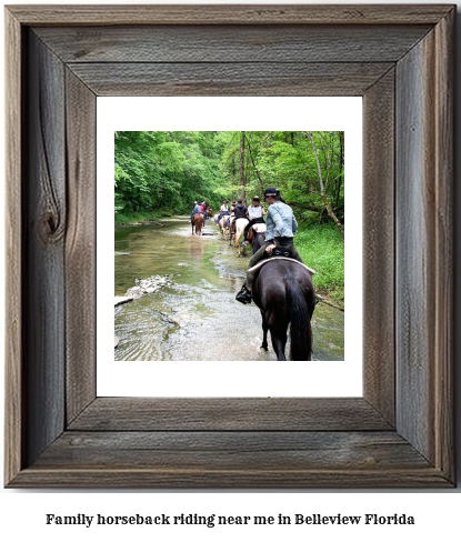 family horseback riding near me in Belleview, Florida